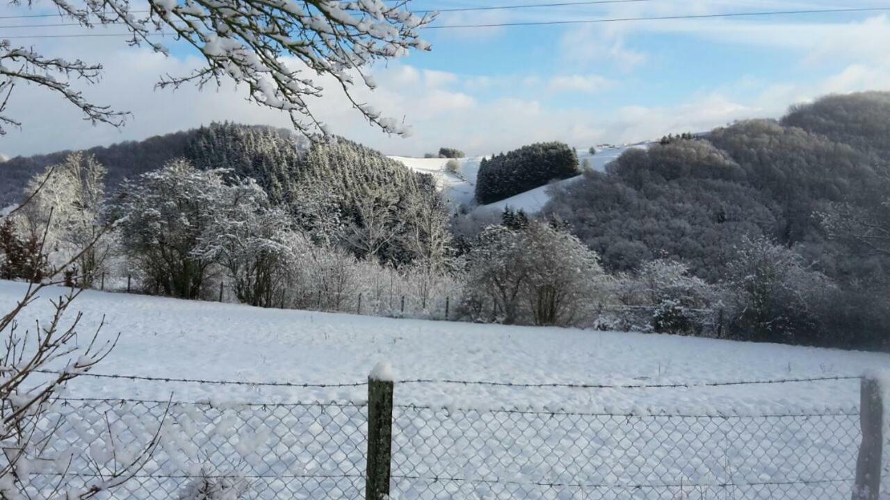 Zur Schoenen Aussicht Hellenthal Bagian luar foto